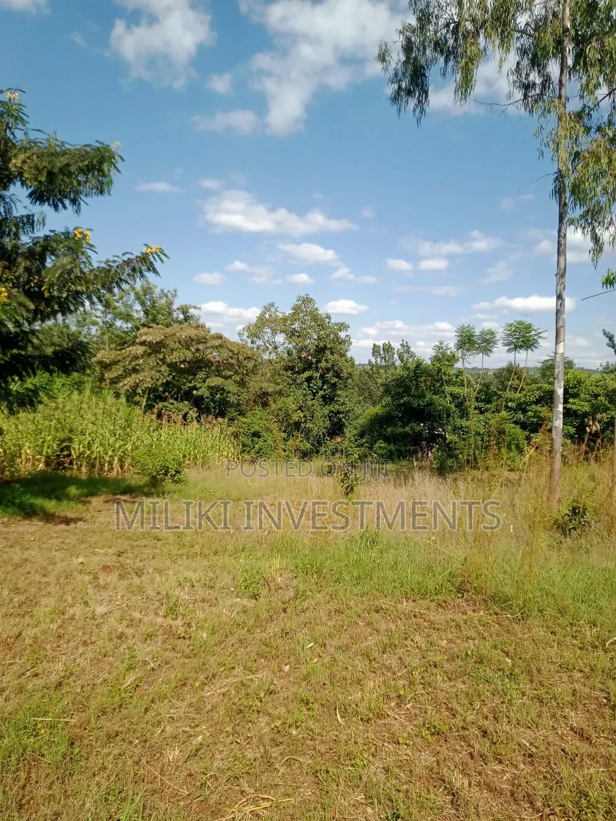 Quarter an Acre on Sale at a Kenol-Karugia