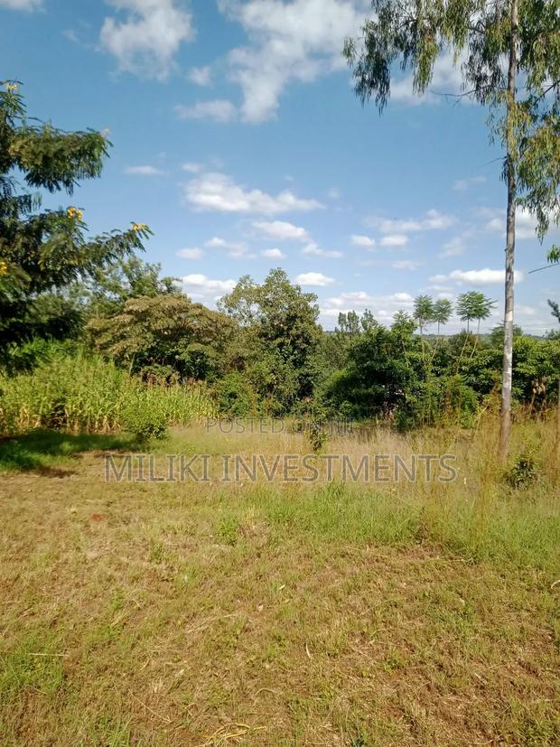 Quarter an Acre on Sale at a Kenol-Karugia - thumbnail 3