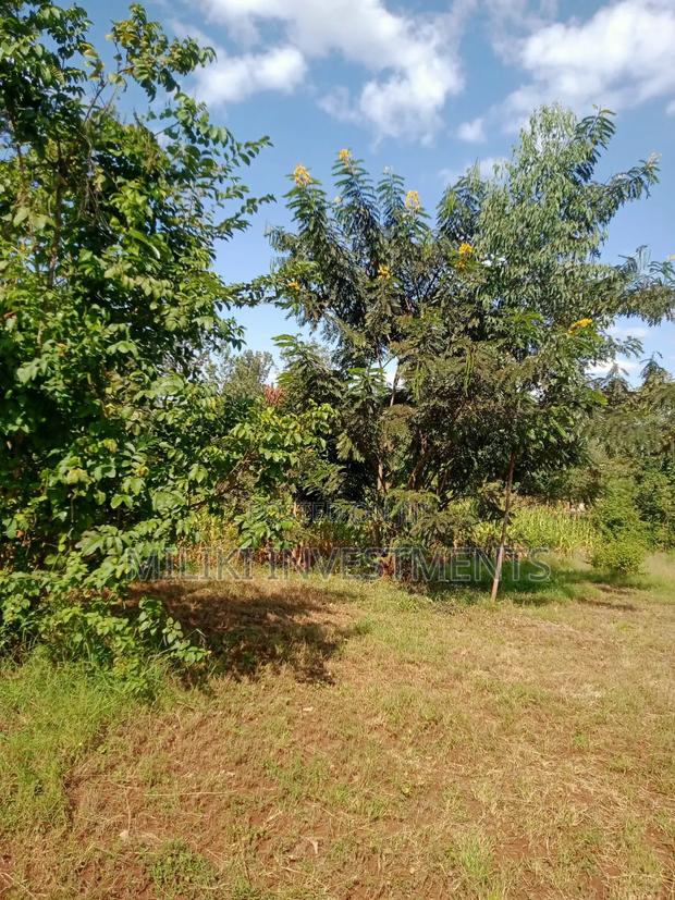 Quarter an Acre on Sale at a Kenol-Karugia - thumbnail 5