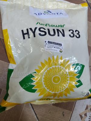 Hysun 33 1kg - main view
