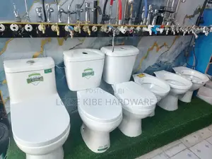 All Types of Toilet Available