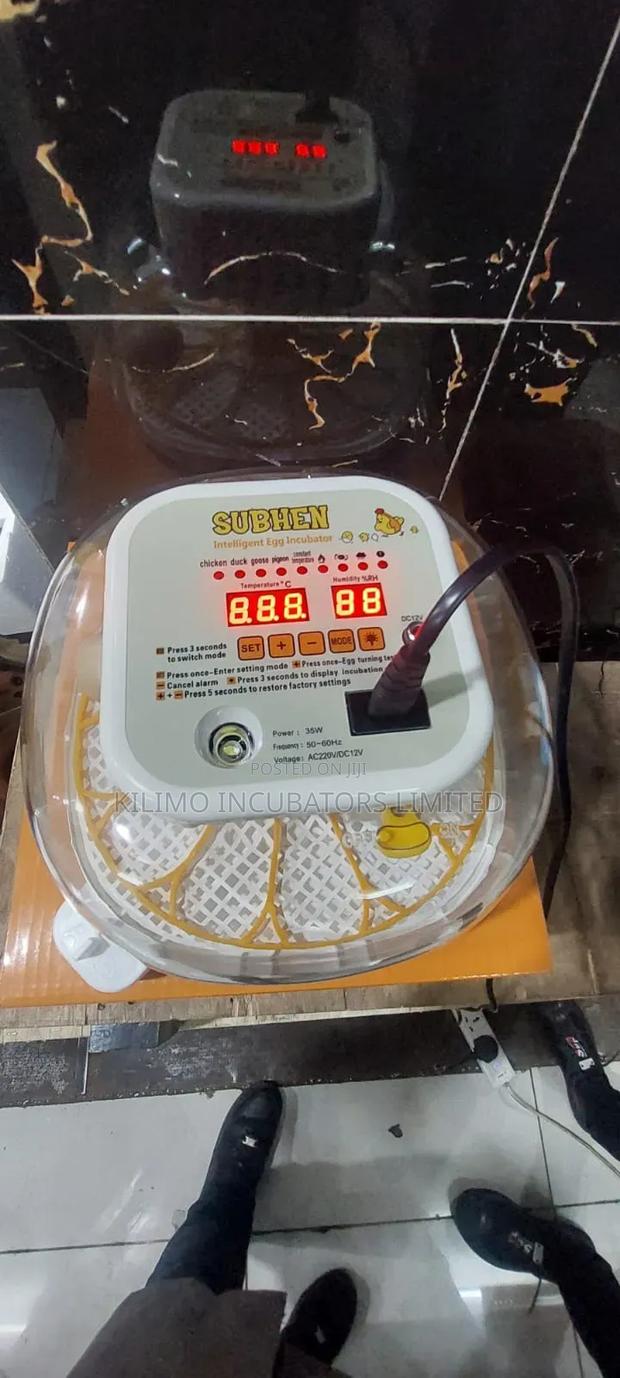 12 Egg Capacity Incubator - main view