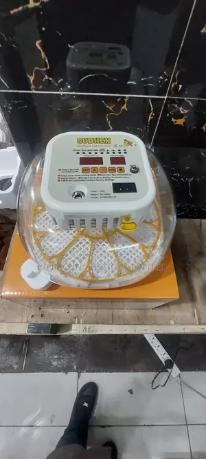12 Egg Capacity Incubator
