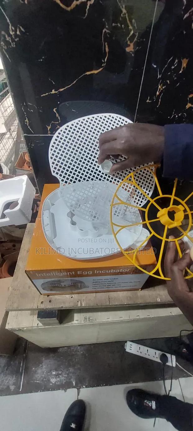 12 Egg Capacity Incubator - thumbnail 4