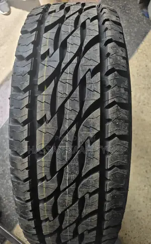 265/70r16 Bredgstone Thailand Tyre At