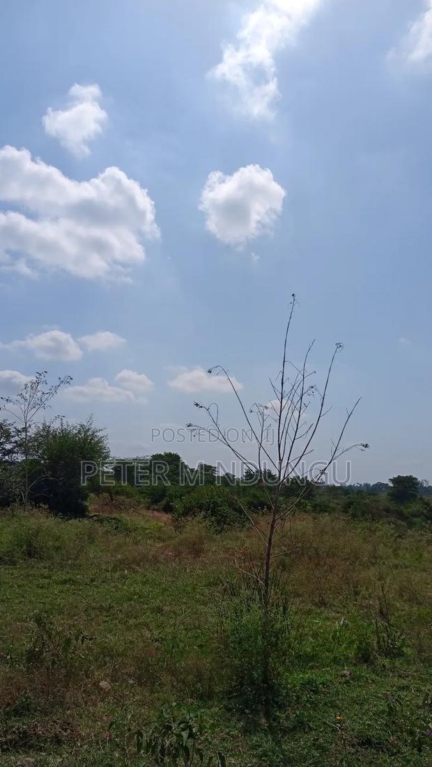 Prime Land on Sale 116 Acres, Kenyatta Road - thumbnail 9