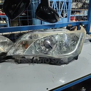 Fielder 161 Xenon Headlight
