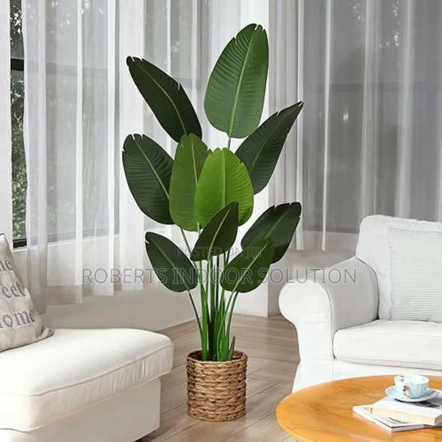 Instant Jungle Vibes, Zero Maintenance.