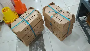Chick Transportation Box