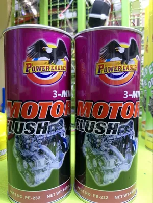 Motor Flush/Piston Rings Flush/Valve Flash