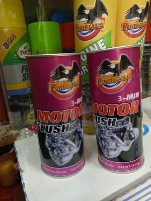 Engine Motor Flush