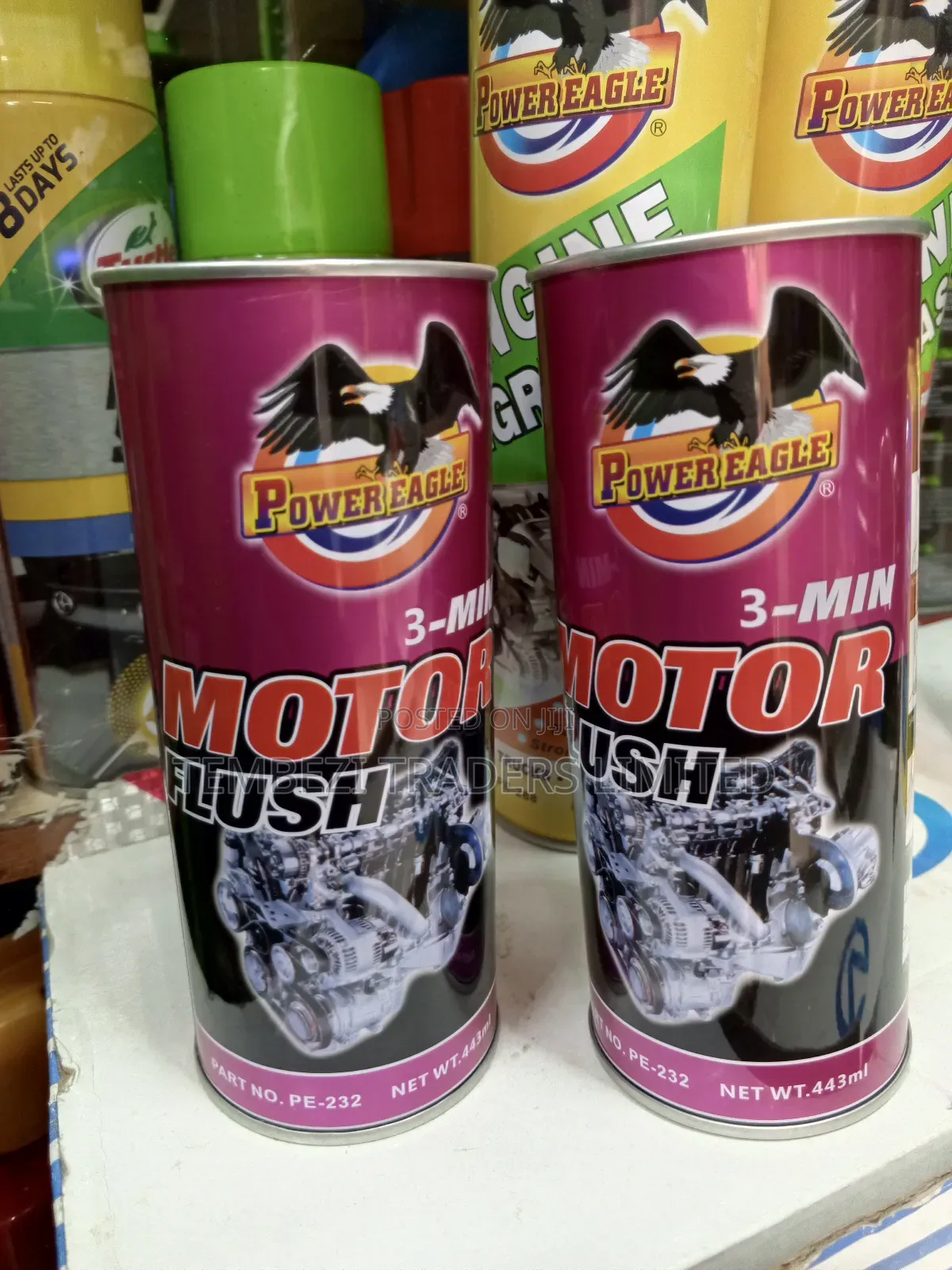 Engine Motor Flush