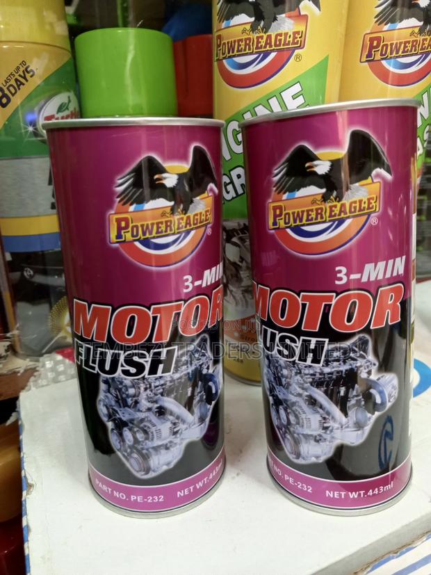 Engine Motor Flush - thumbnail 2