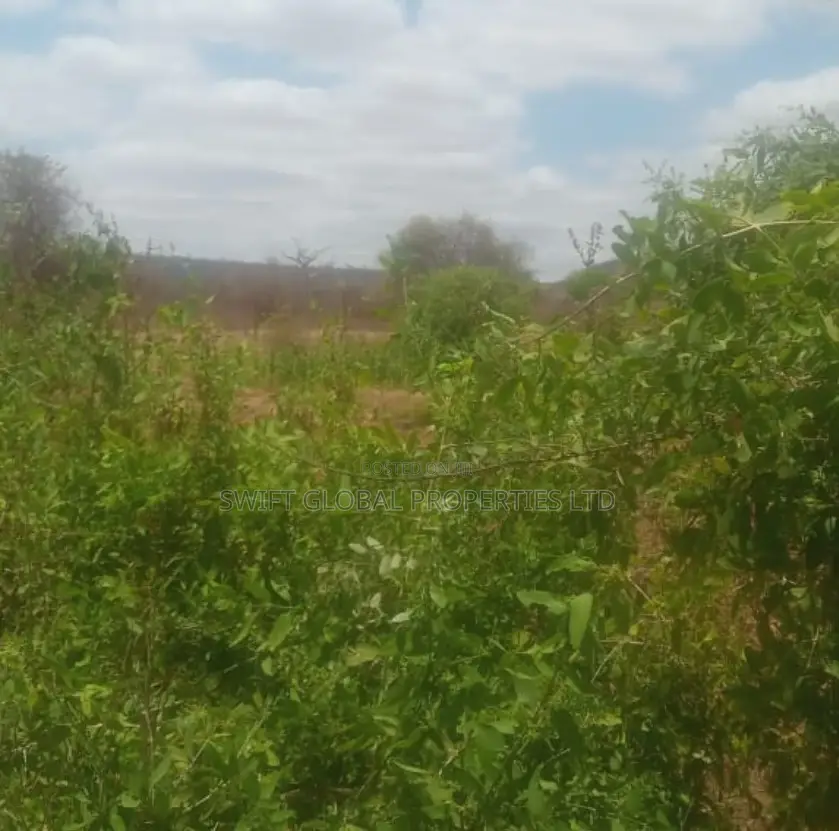 75 Acres Touching Athi River in Kambu Is Available for Sale
