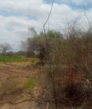 75 Acres Touching Athi River in Kambu Is Available for Sale