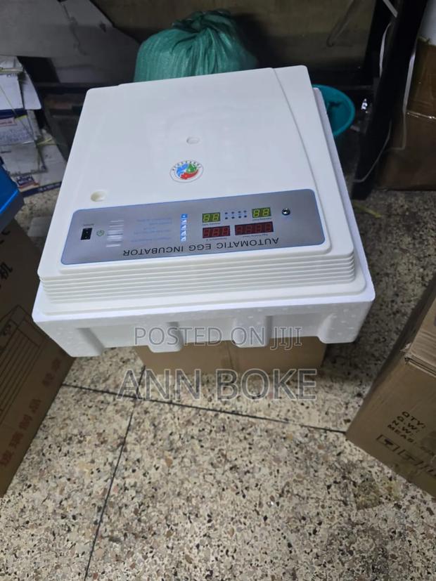 *56eggs Automatic Incubator Ac/Dc - main view