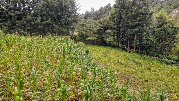 Prime 1/2 Acre Kahara,Ngong at 15m - thumbnail 5