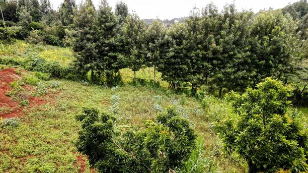 Prime 1/2 Acre Kahara,Ngong at 15m - thumbnail 10