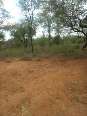 10,000 Acres Along Kibwezi-Kitui Road Is Available for Sale