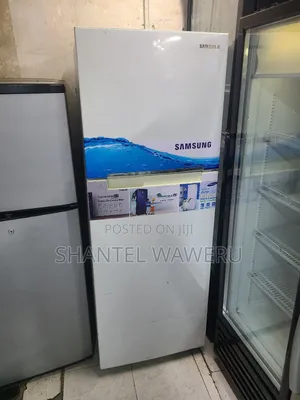 Functional Samsung Double Door