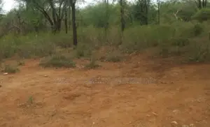 1,500 Acres Virgin Land in Kambu Makueni Is for Sale