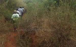 1,500 Acres Virgin Land in Kambu Makueni Is for Sale