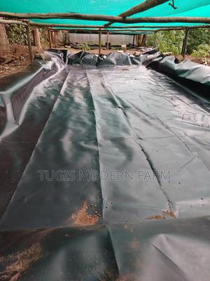 Azolla Starter Damliner. 0.5mm Damliner 8m * 3m