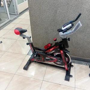 Indoor Exercise Spin Bike With Adjustable Resistance
