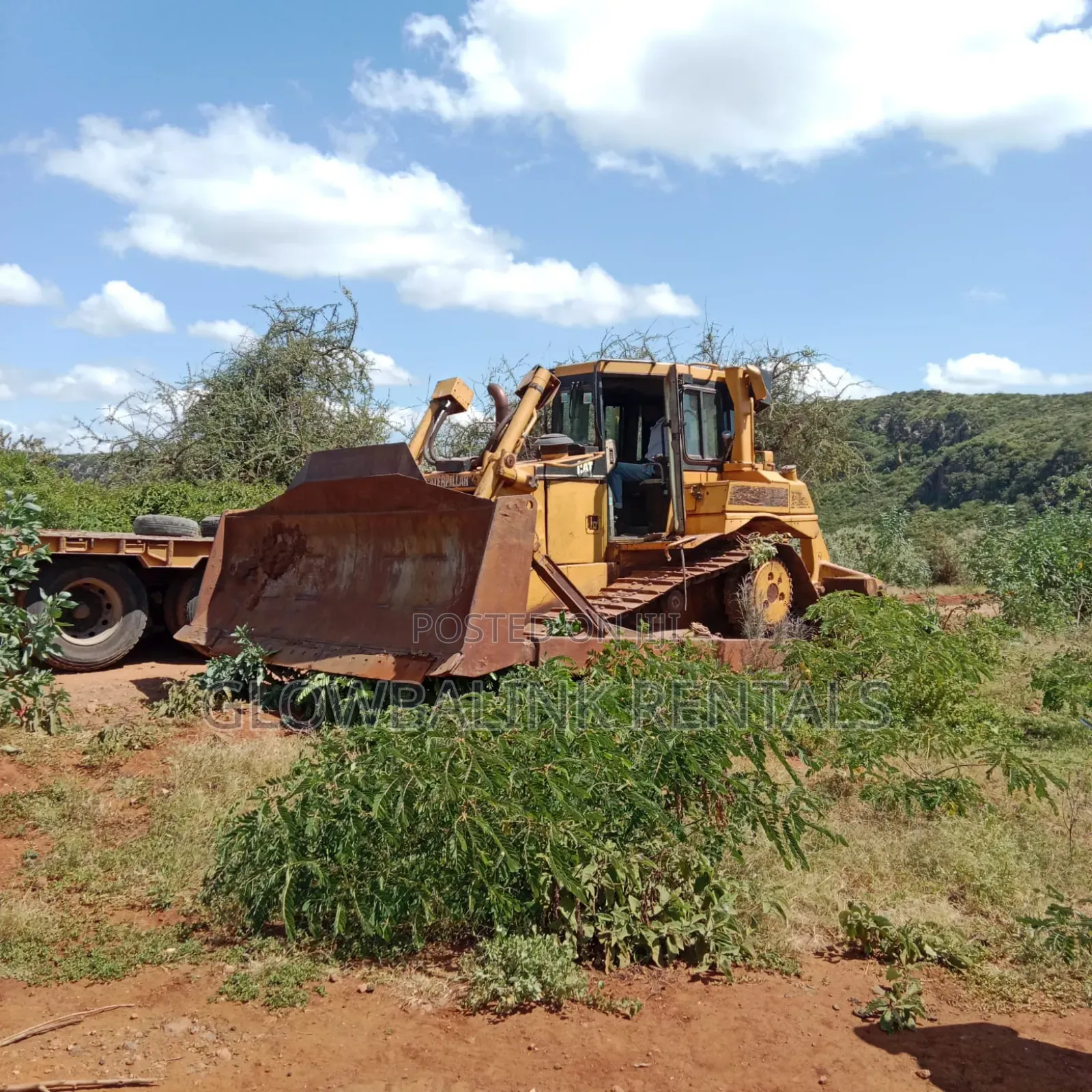 Site Preparation Bush Clearing Services