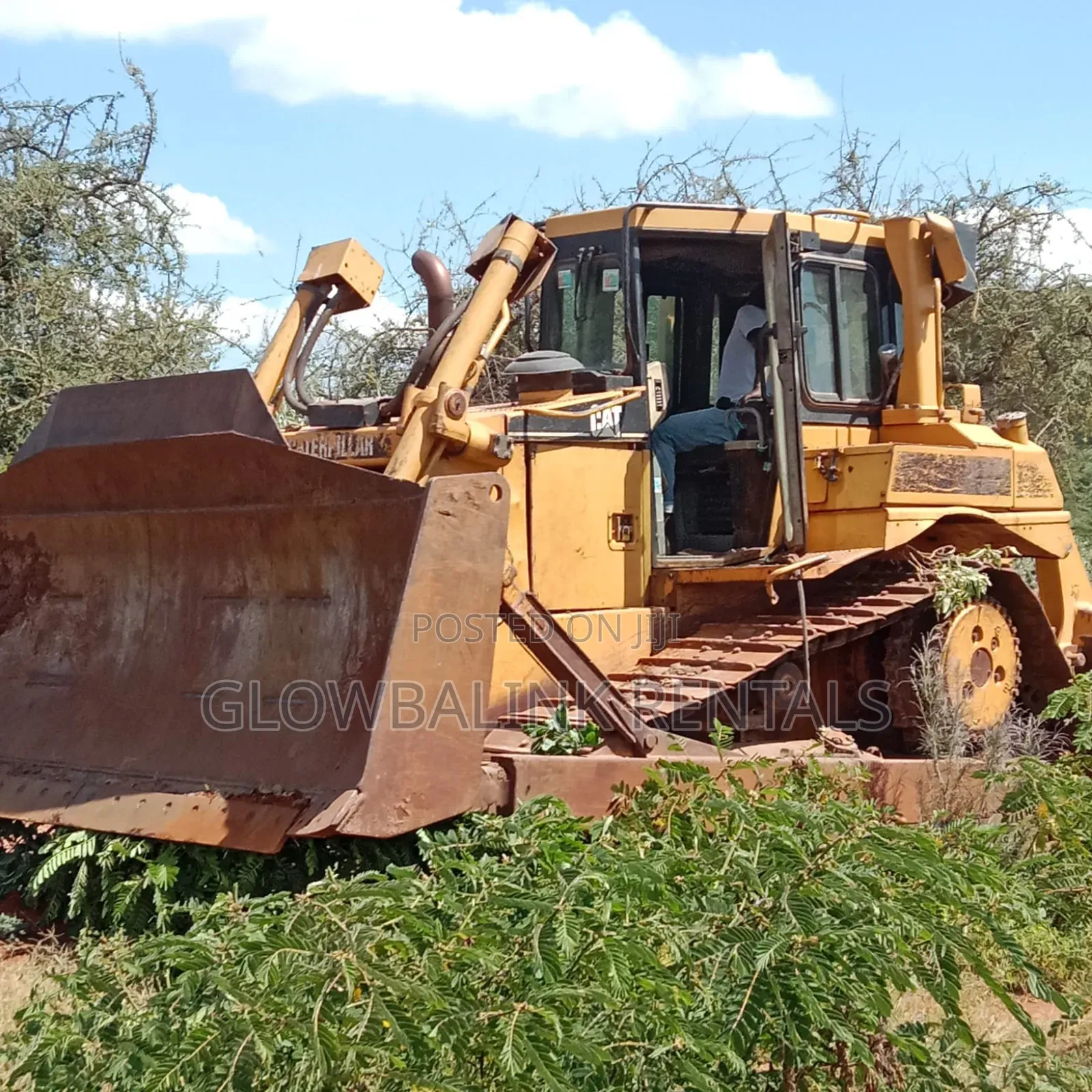 Site Preparation Bush Clearing Services