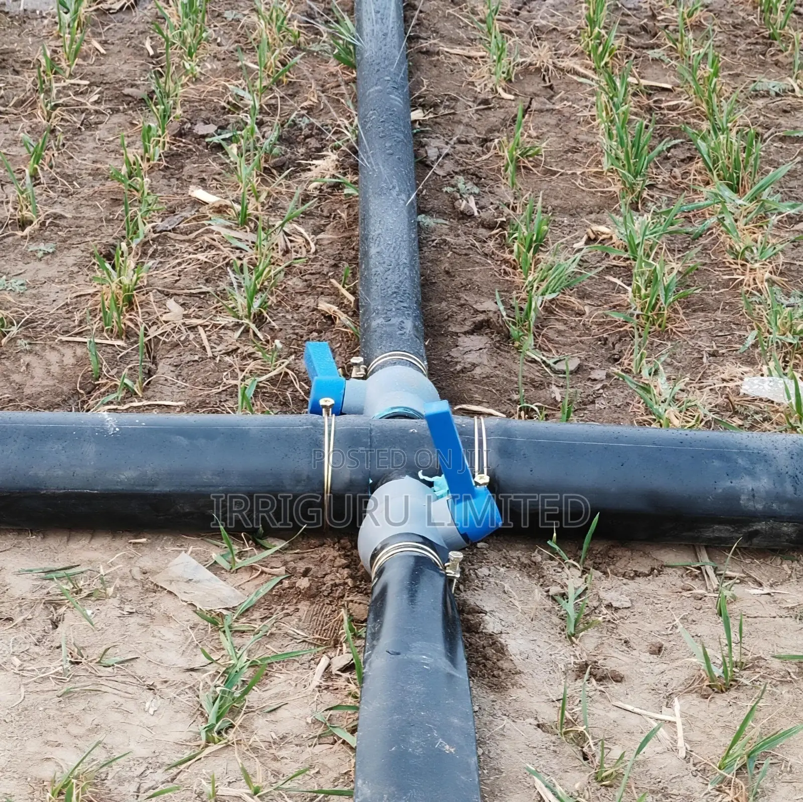 Irrigation Valve.