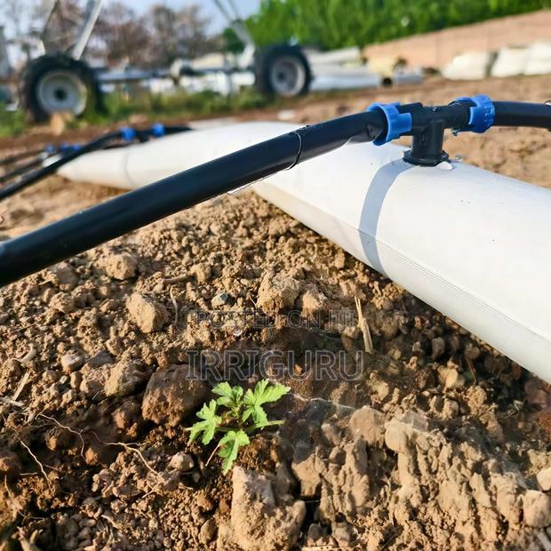 Farmland Irrigation in Drip Line - main view