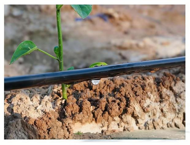 Agricultural Irrigation in Drip Line - main view