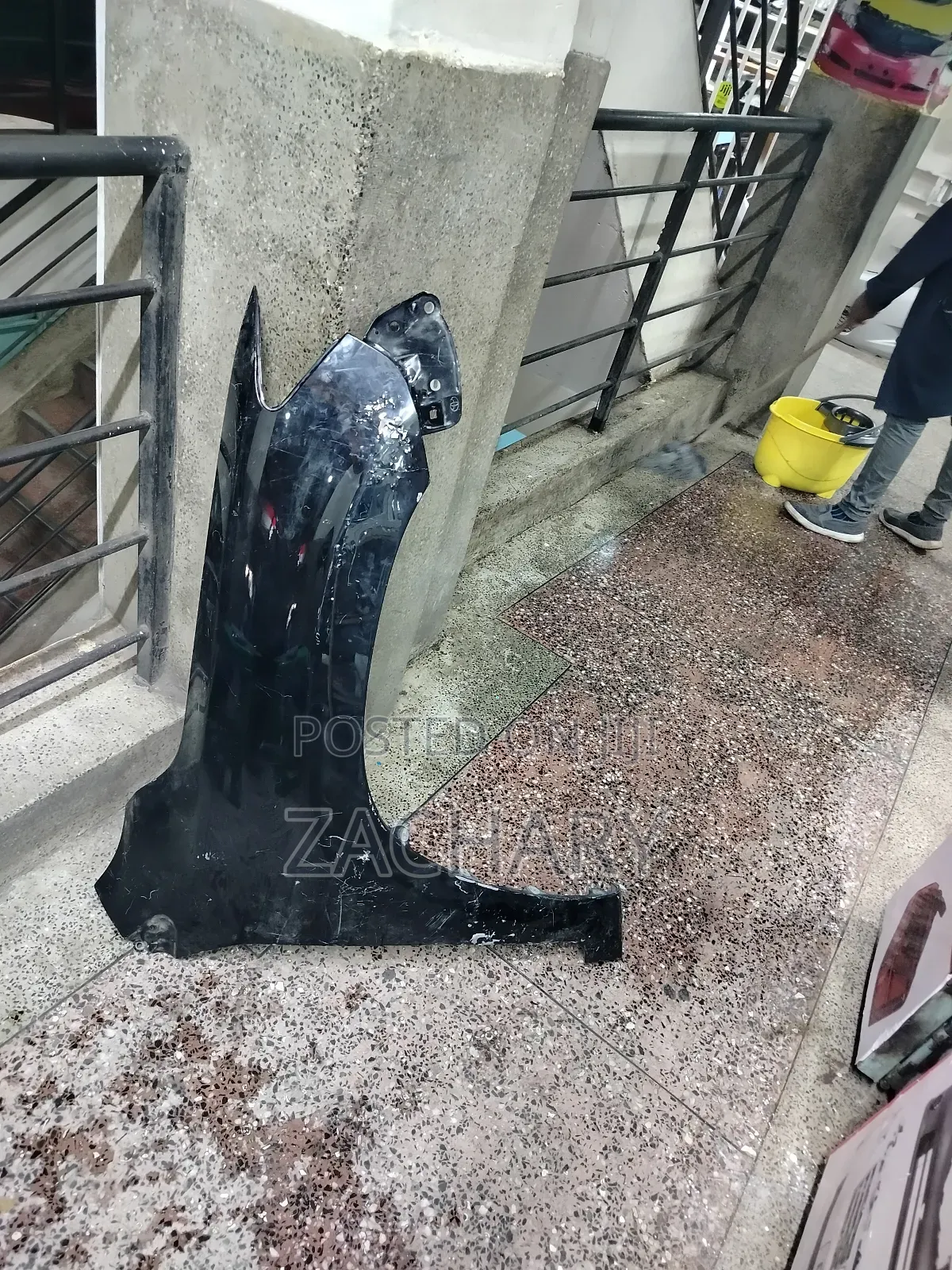 Vanguard Fender