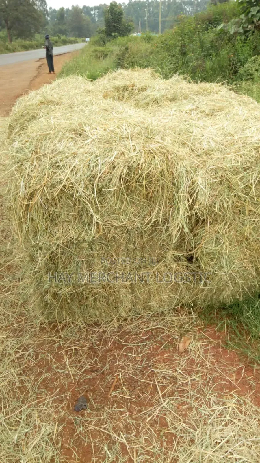 Hay Bales in Bales