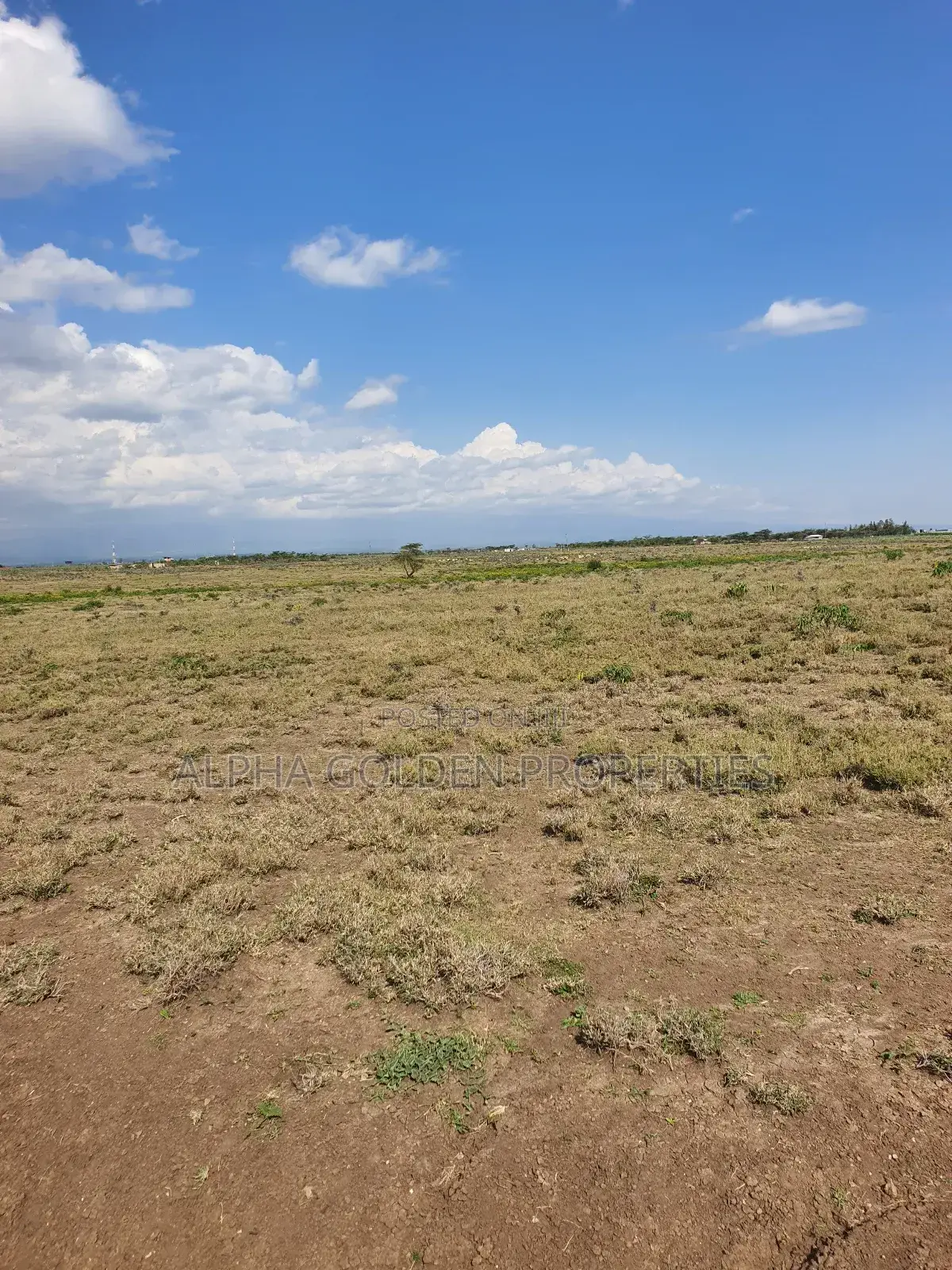 Nanyuki, Juakali 10 Acres
