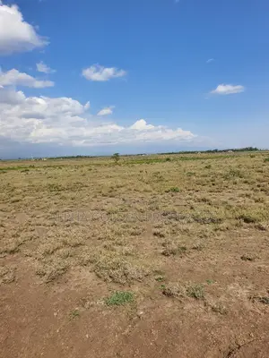 Nanyuki, Juakali 10 Acres