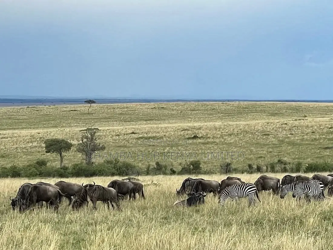 Masai Mara / Maasai Mara Land on Sale