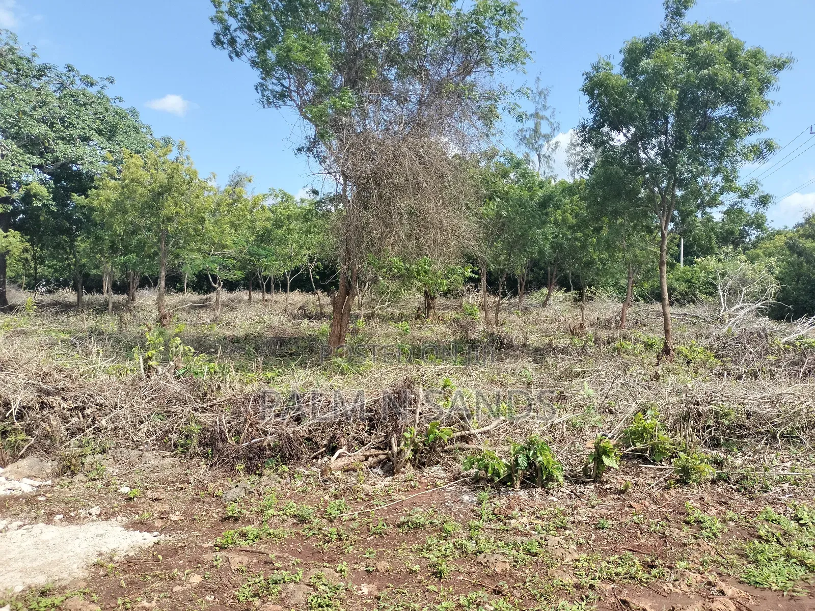 Half Acre Prime Land on Sale in Diani!!