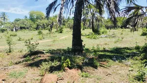 1.5 Acre Galu Land on Sale!!