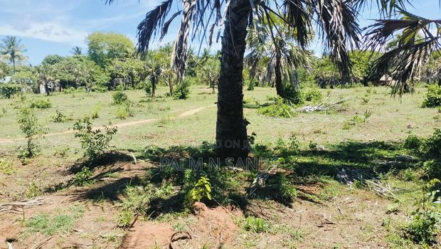 1.5 Acre Galu Land on Sale!! - thumbnail 3