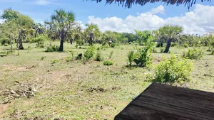 1.5 Acre Galu Land on Sale!!