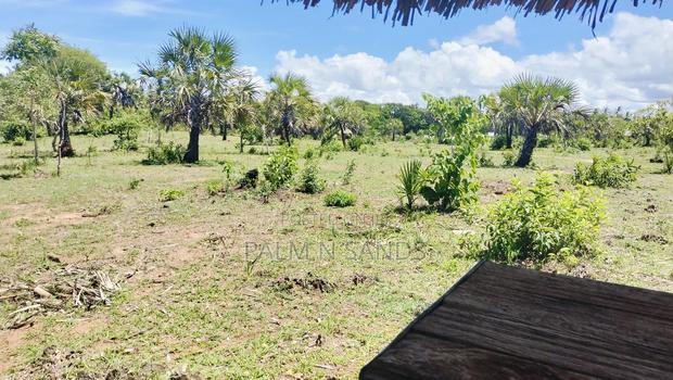 1.5 Acre Galu Land on Sale!! - thumbnail 4