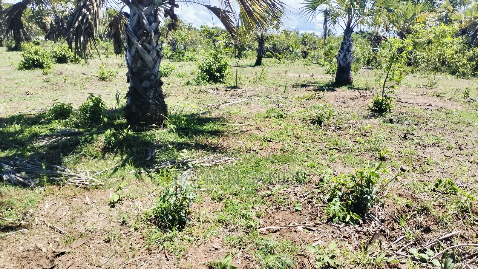 1.5 Acre Galu Land on Sale!!