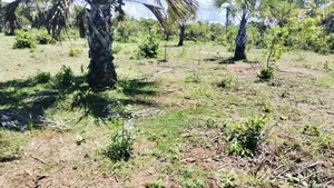 1.5 Acre Galu Land on Sale!!