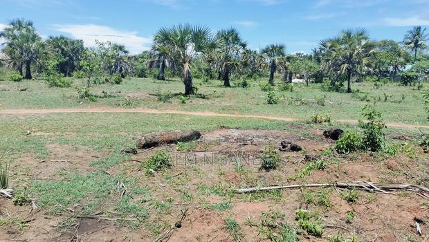 1.5 Acre Galu Land on Sale!! - thumbnail 2