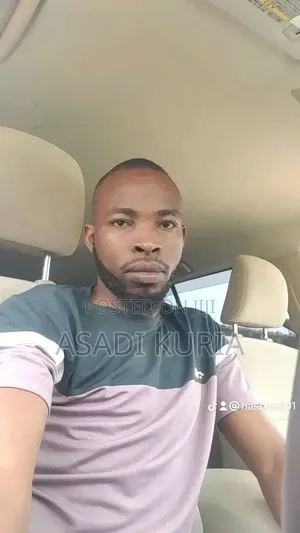 Chauffeur, Personal Driver and Company Driver