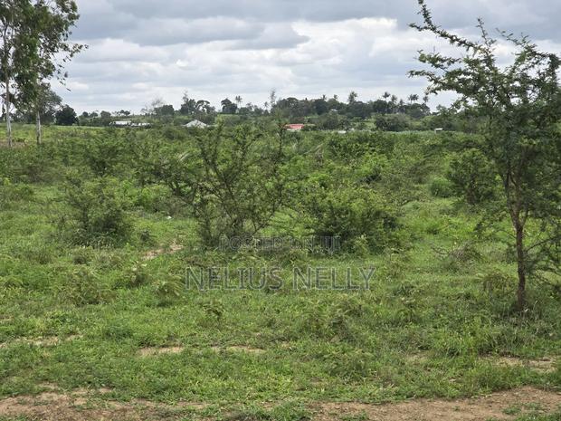 Plots Touching Mariakani ~ Kaloleni ~ Mavueni Bypass - thumbnail 4