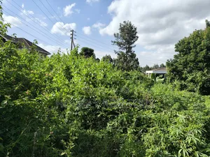 Quarter Acre Plot in Ngong Along Kerarapon Drive Near Tarmac