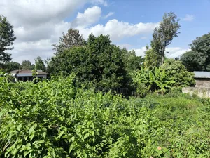 Quarter Acre Plot in Ngong Along Kerarapon Drive Near Tarmac